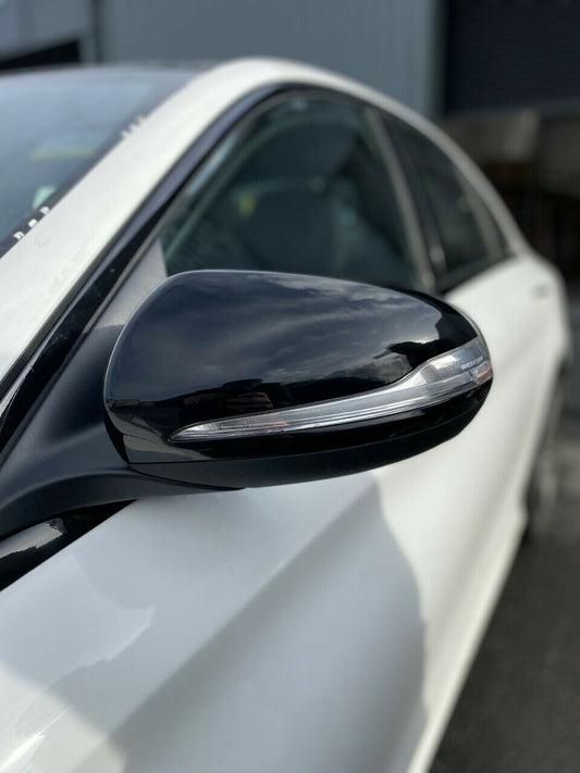 Black Wing Mirrors